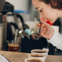 Diseño sin título (13)